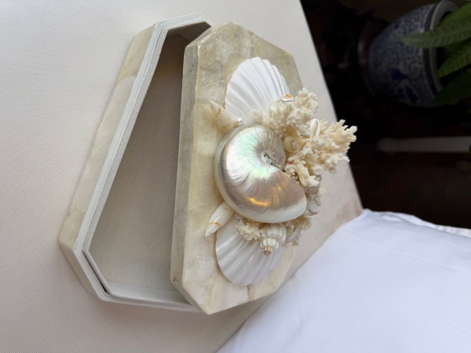 Decorative shell object from Delaney Shell Designs